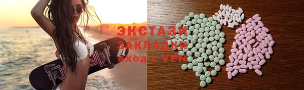 индика Богородицк