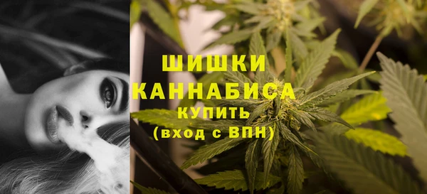 спайс Богданович