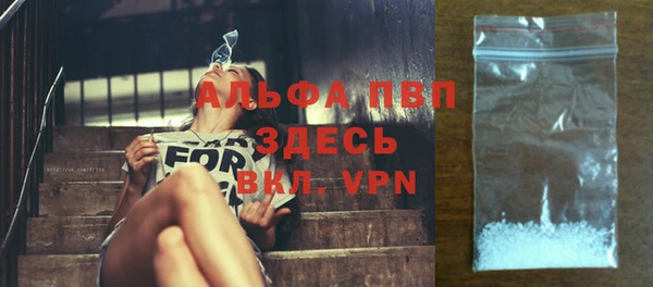 индика Богородицк