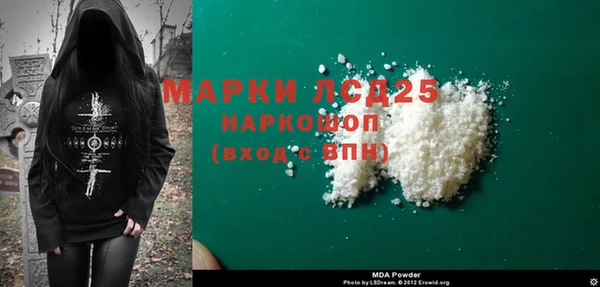 индика Богородицк