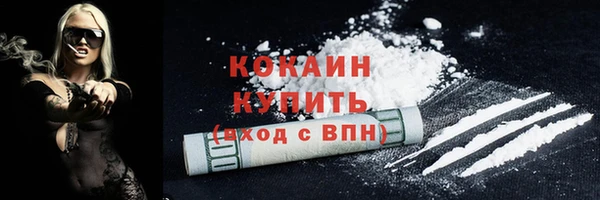 индика Богородицк