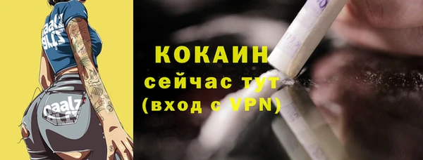 индика Богородицк