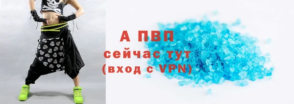 спайс Богданович