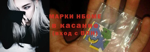 индика Богородицк