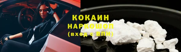 спайс Богданович