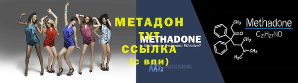 индика Богородицк