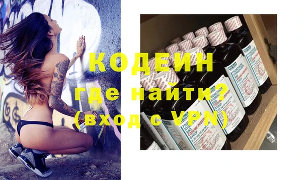 индика Богородицк