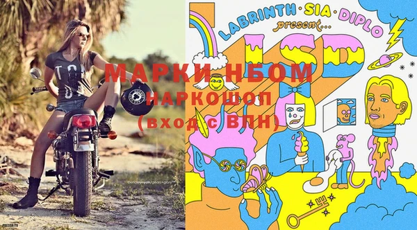 спайс Богданович