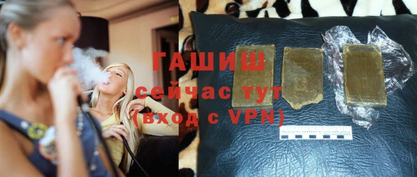 индика Богородицк