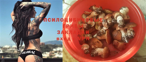 индика Богородицк