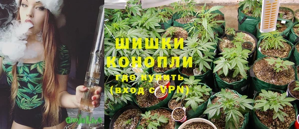 индика Богородицк