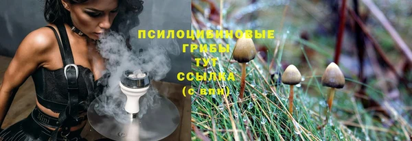 индика Богородицк