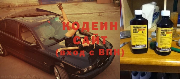 индика Богородицк