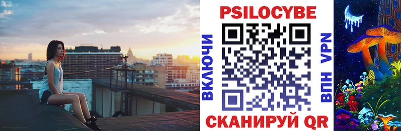 Купить  Опочка  Галлюциногенные грибы Psilocybe 